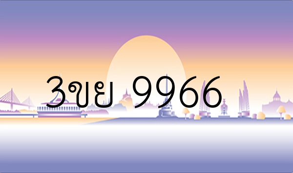 3ขย 9966